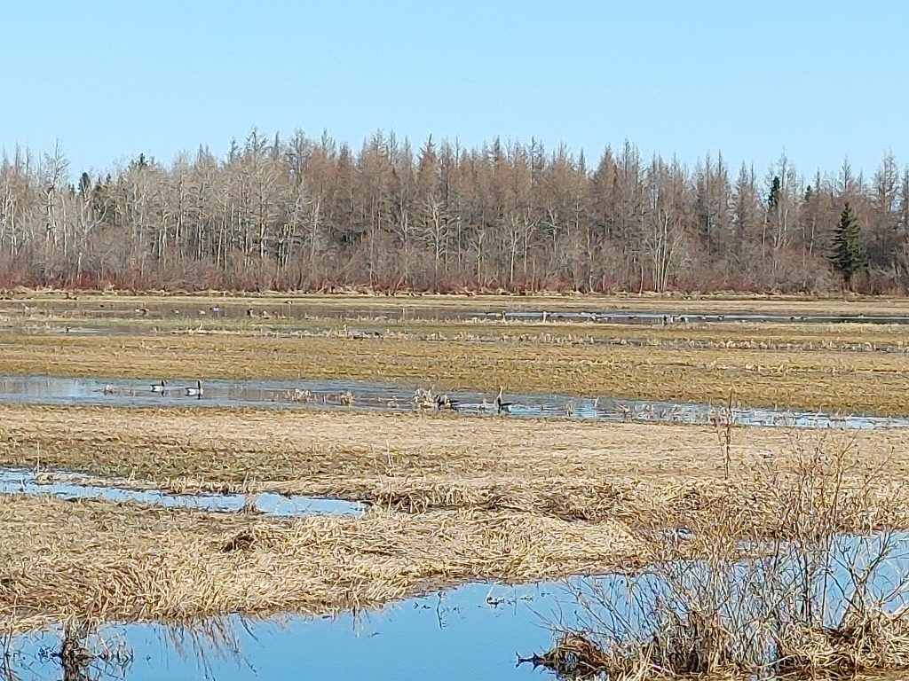 Zone inondable rivière Fouquette