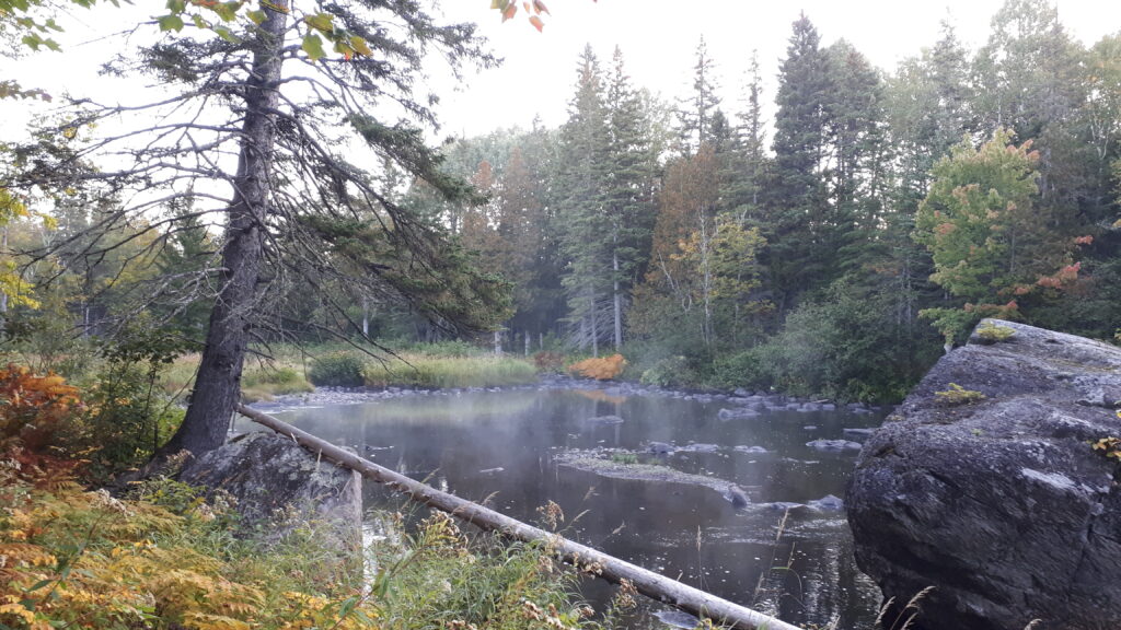 Rivière en automne