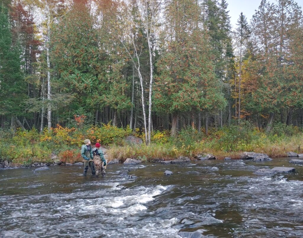 Recherche de macroinvertébrés en rivière