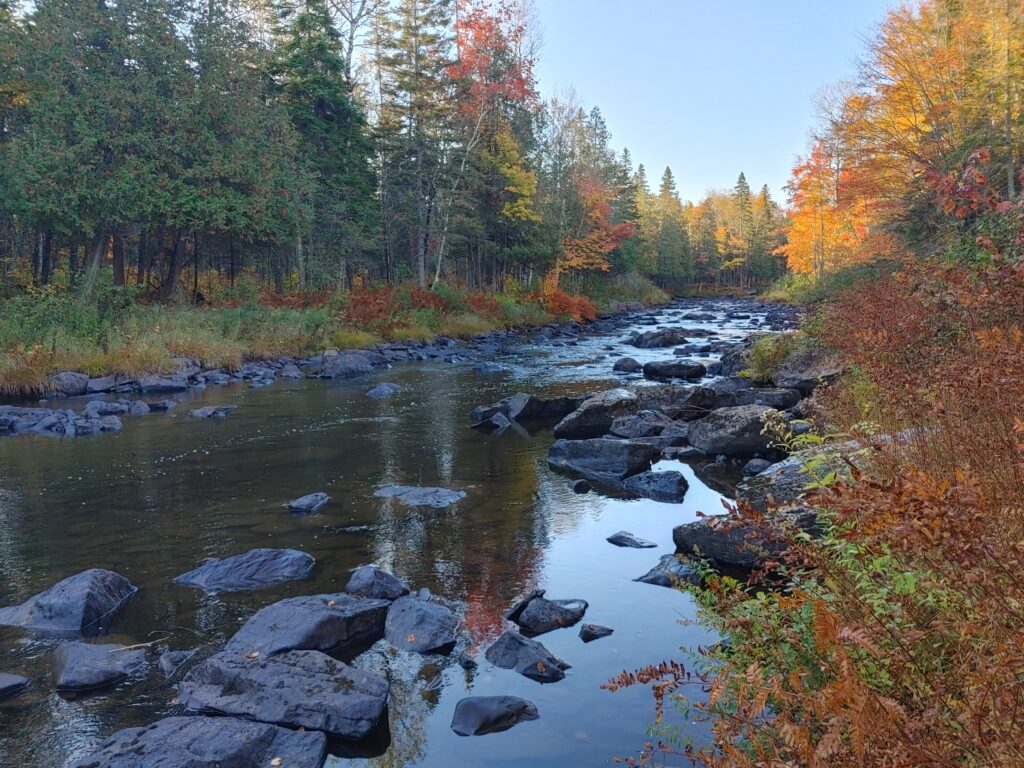 Rivière en automne (2)