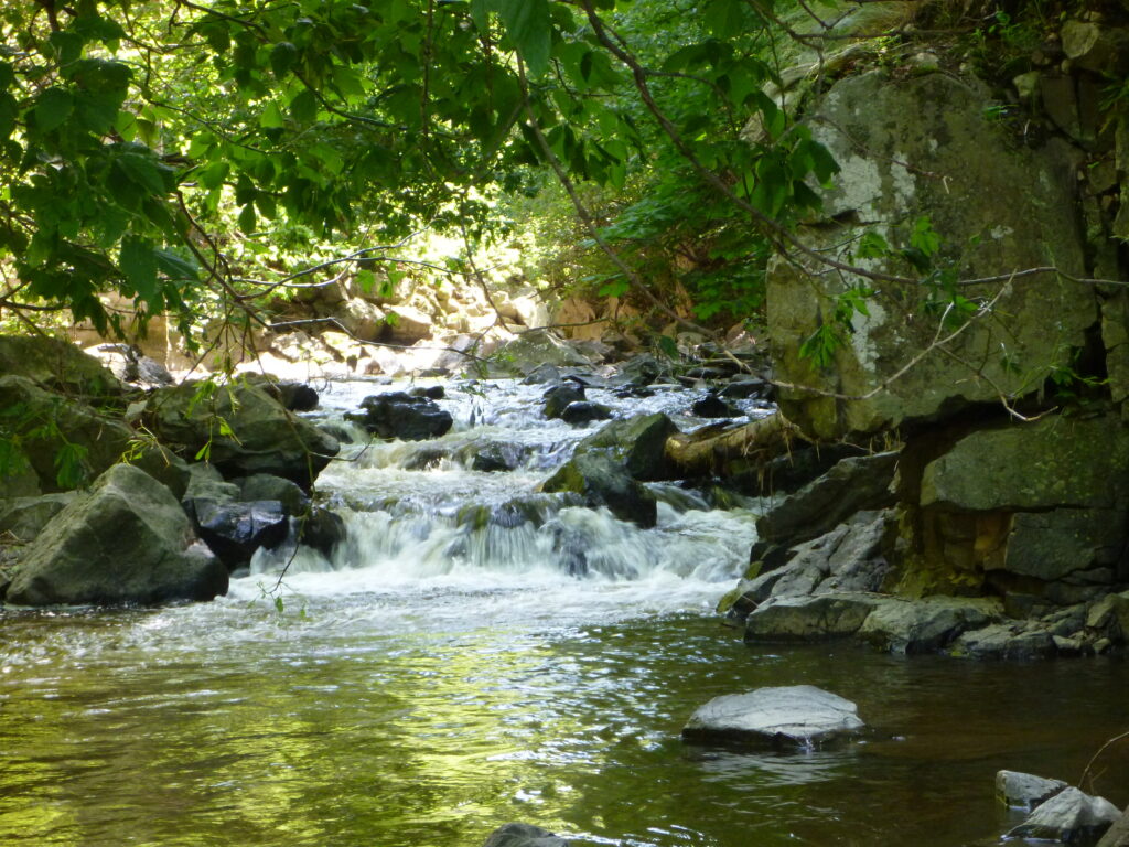 Chute de la rivière Saint-Jean