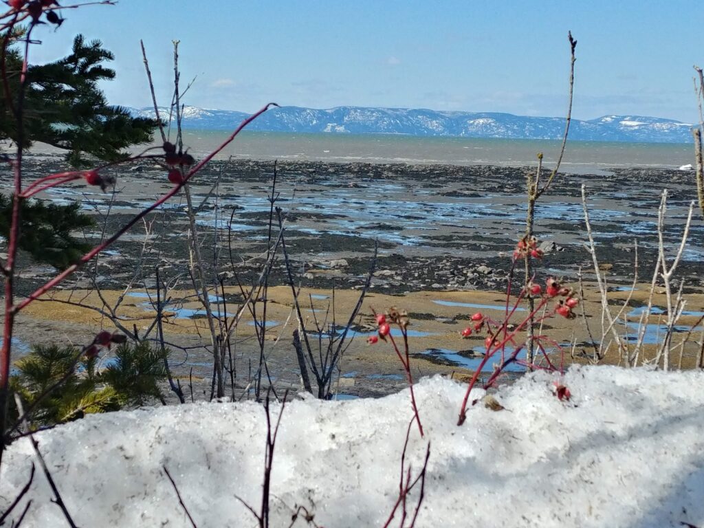 Montagnes de Charlevoix vues du Parc de la Pointe, Rivière-du-Loup