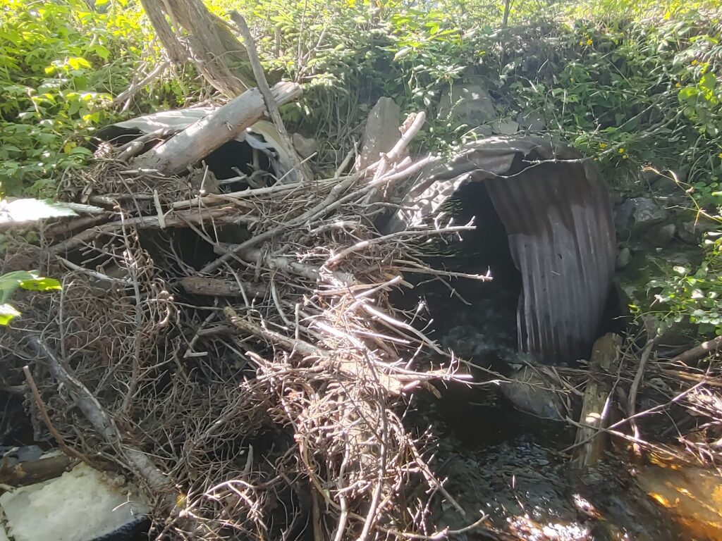 Ponceau obstrué