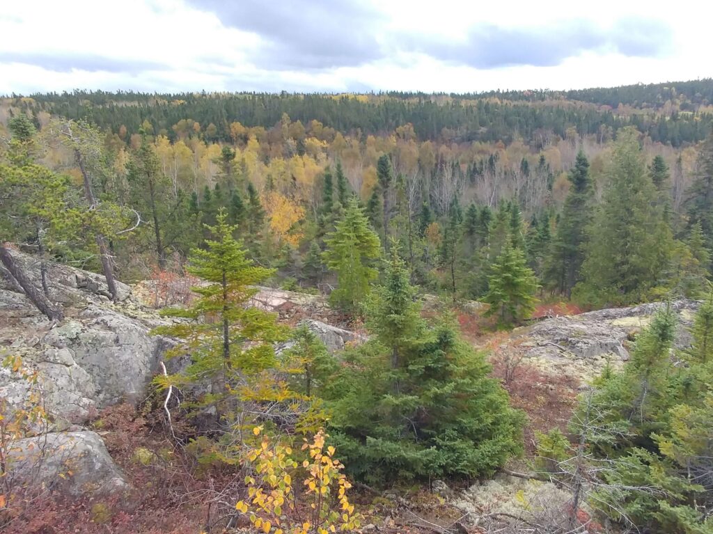Sentier des Faucons, Parc Kiskotuk, Cacouna