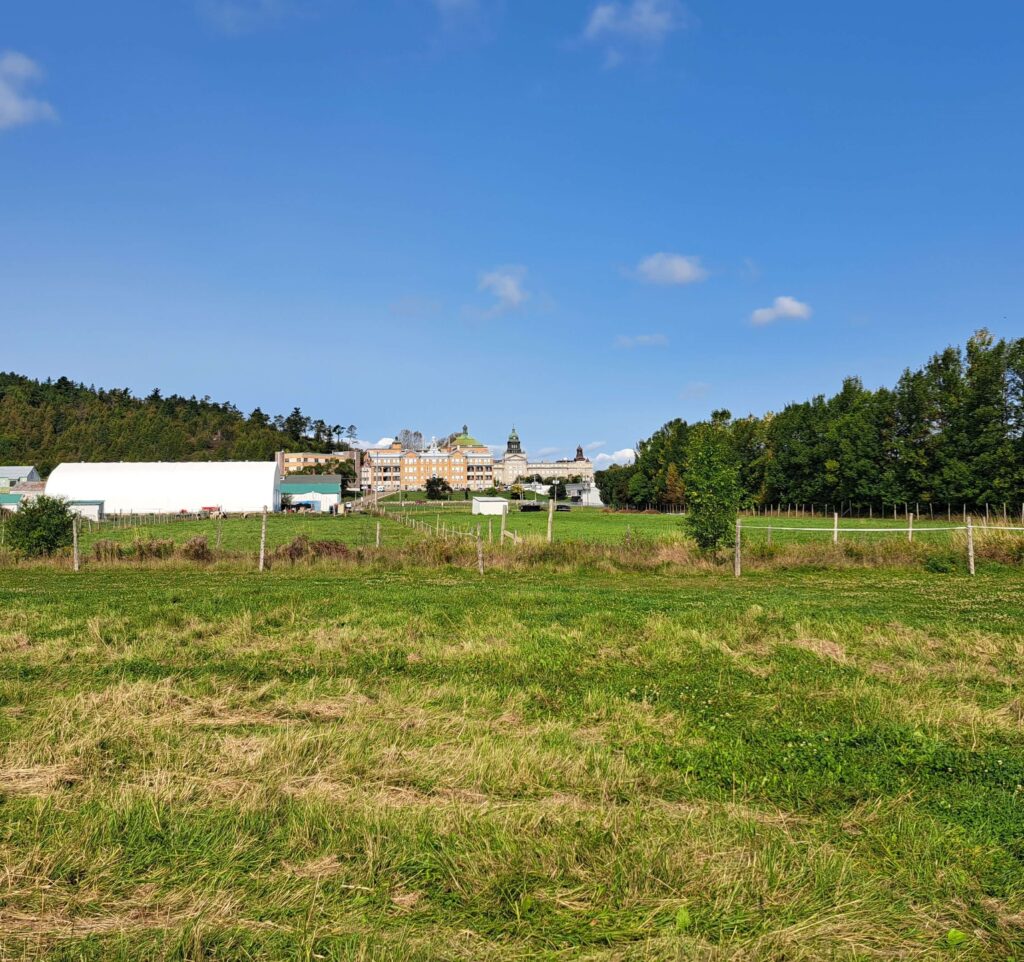 Terrain de la Ferme-école Lapokita à La Pocatière