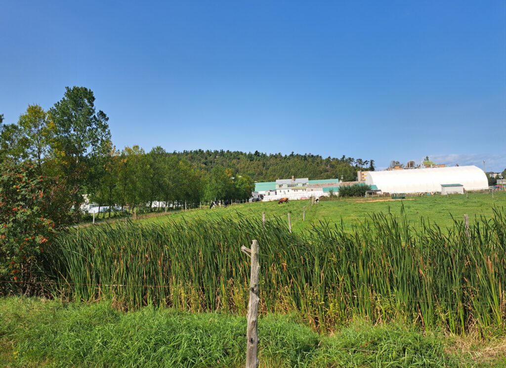 Ruisseau de La Décharge du Collège et ferme Lapokita