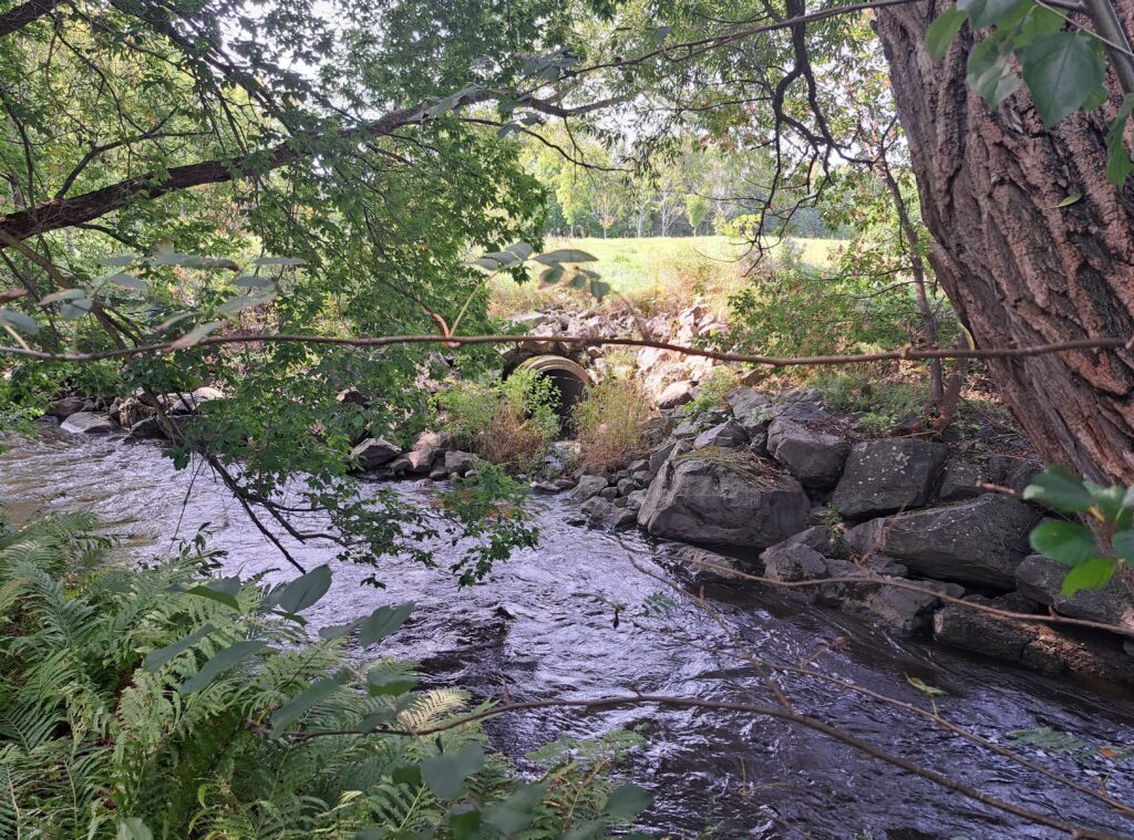 Confluence de La Décharge du Collège et de la rivière St-Jean